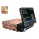 Unitate multimedia IVA-D800R